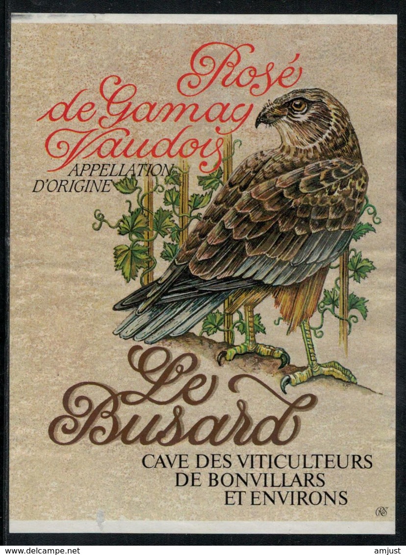 Etiquette De Vin // Rosé De Gamay, Le Busard - Feathers