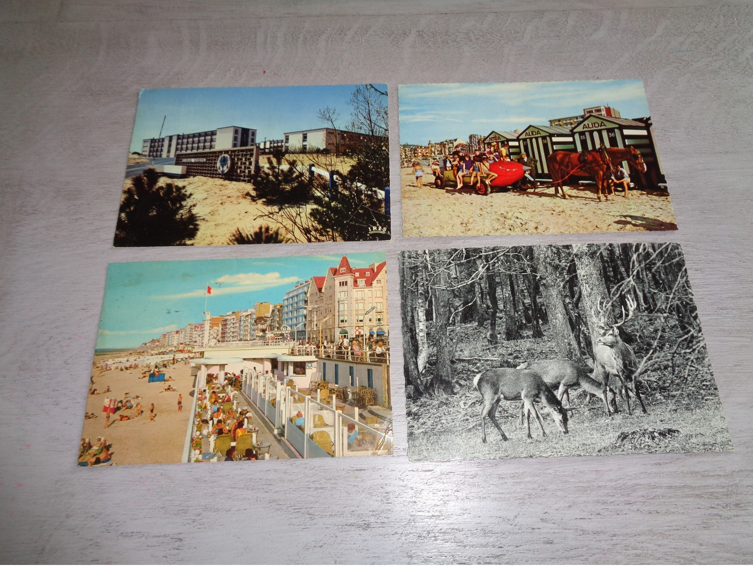 Beau lot de 500 cartes postales de Belgique CPSM  grand format  Mooi lot van 500 postkaarten België gr. formaat 101scans
