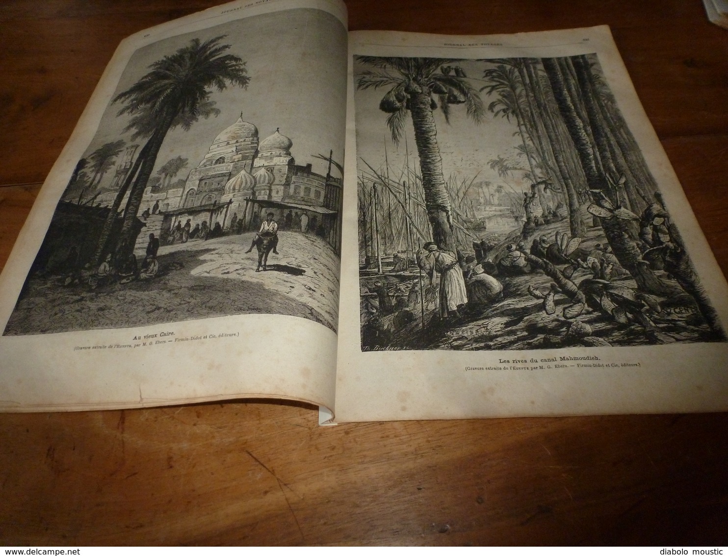 1882 JDV:Chasse au tigre;Egypte avec gravures (Le Caire,Canal Mahmoudieh,Dahabieh,Chameliers traversant le désert; etc