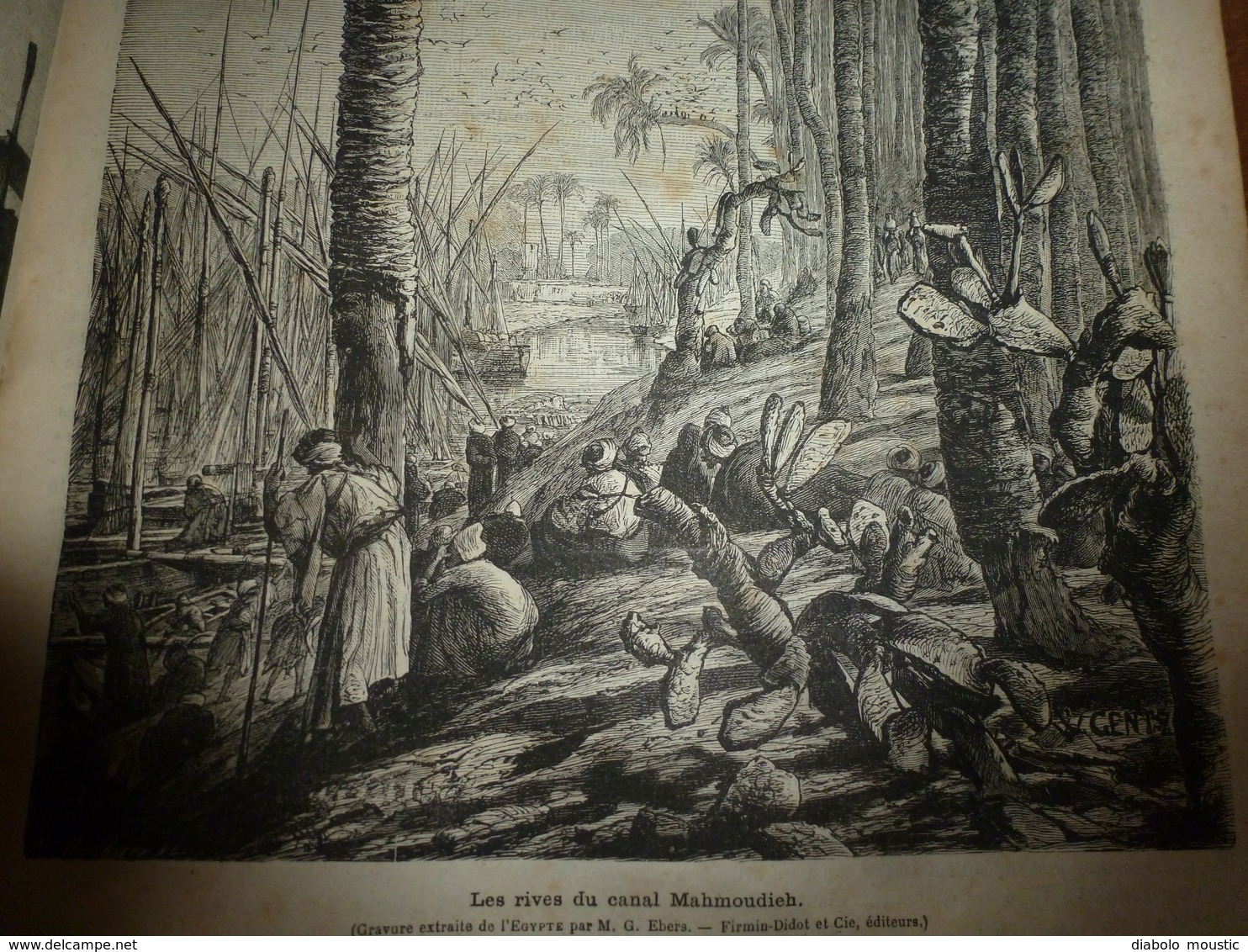 1882 JDV:Chasse au tigre;Egypte avec gravures (Le Caire,Canal Mahmoudieh,Dahabieh,Chameliers traversant le désert; etc