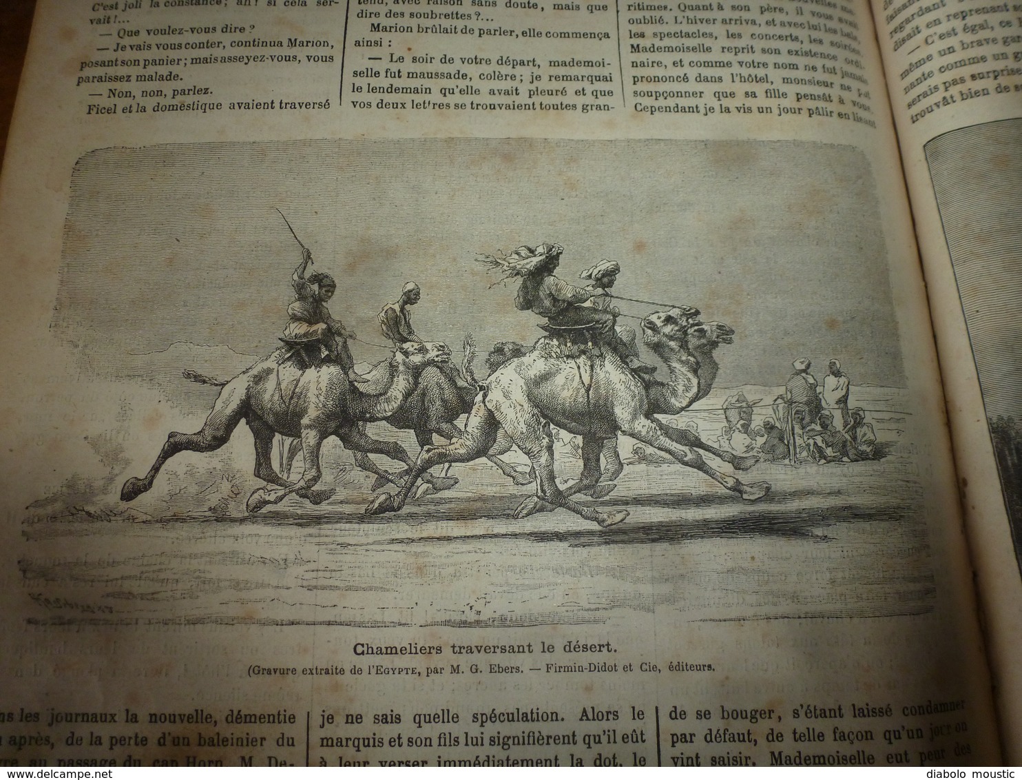 1882 JDV:Chasse au tigre;Egypte avec gravures (Le Caire,Canal Mahmoudieh,Dahabieh,Chameliers traversant le désert; etc