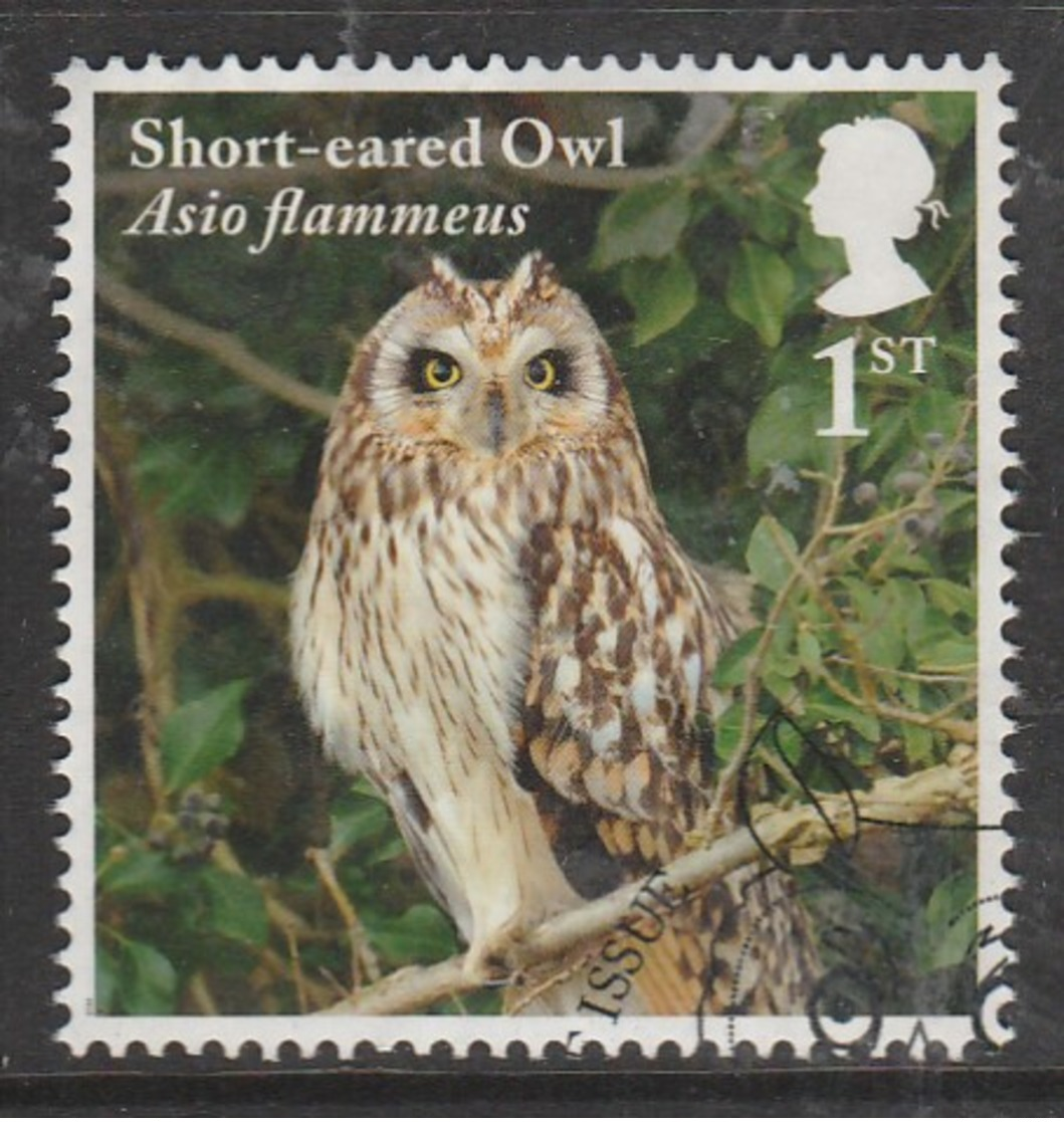 GB 2018 Birds - Owls 1st Multicoloured SG 4085 O Used - Used Stamps