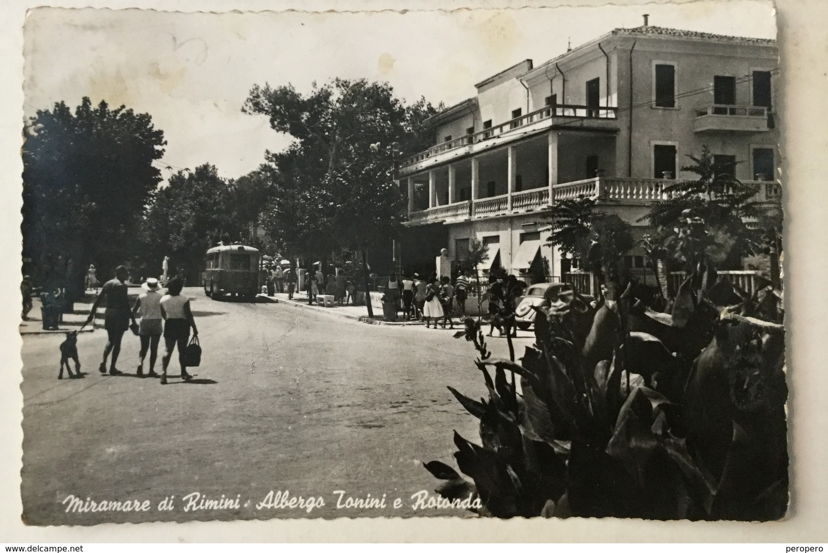 RIMINI  BUS   1960. - Rimini