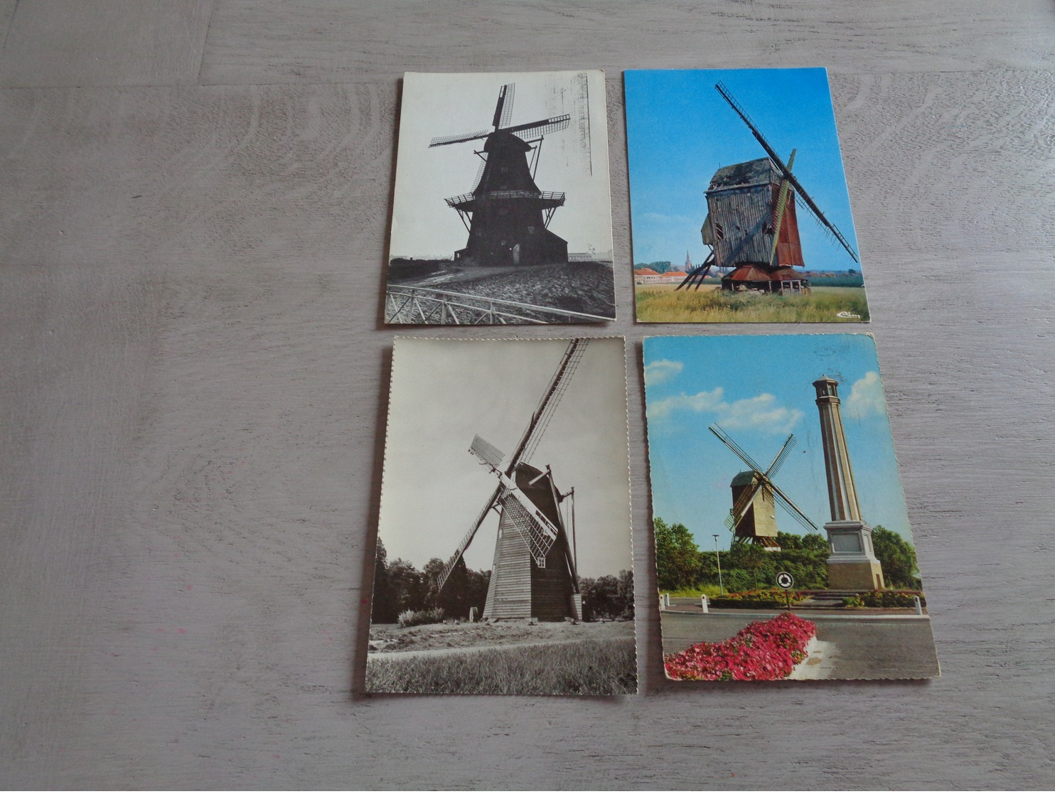 Beau Lot De 60 Cartes Postales De Moulins  Moulin  CPSM  Grand Format     60 Molens  Molen - 5 - 99 Postcards