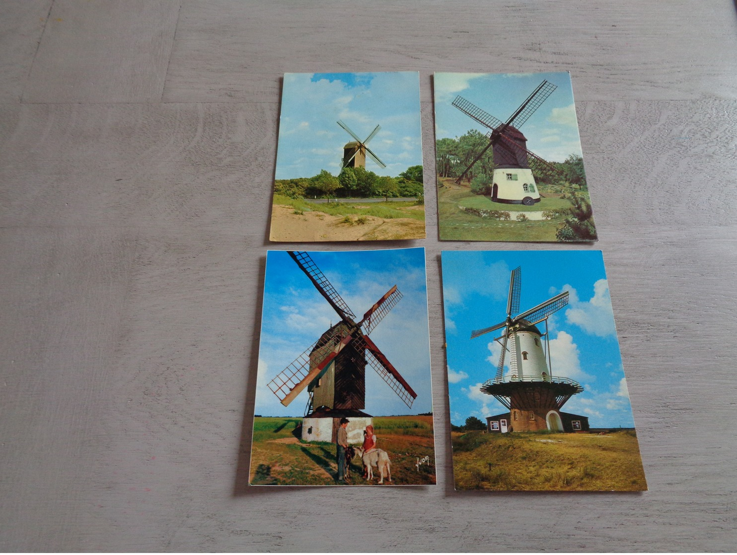 Beau Lot De 60 Cartes Postales De Moulins  Moulin  CPSM  Grand Format     60 Molens  Molen - 5 - 99 Postcards