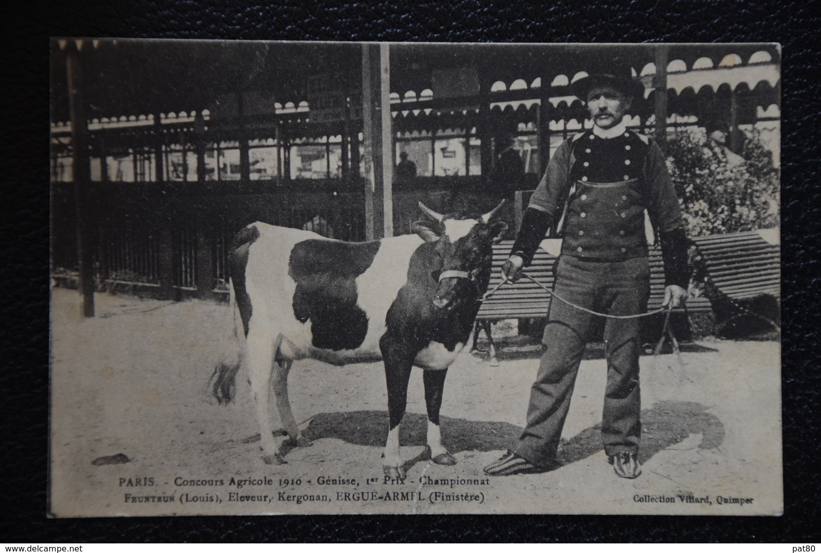 PARIS Concours Agricole 1910 ERGUE ARMEL KERGONAN éleveur FEUNTEUN Louis 1er Prix Génisse - Autres & Non Classés