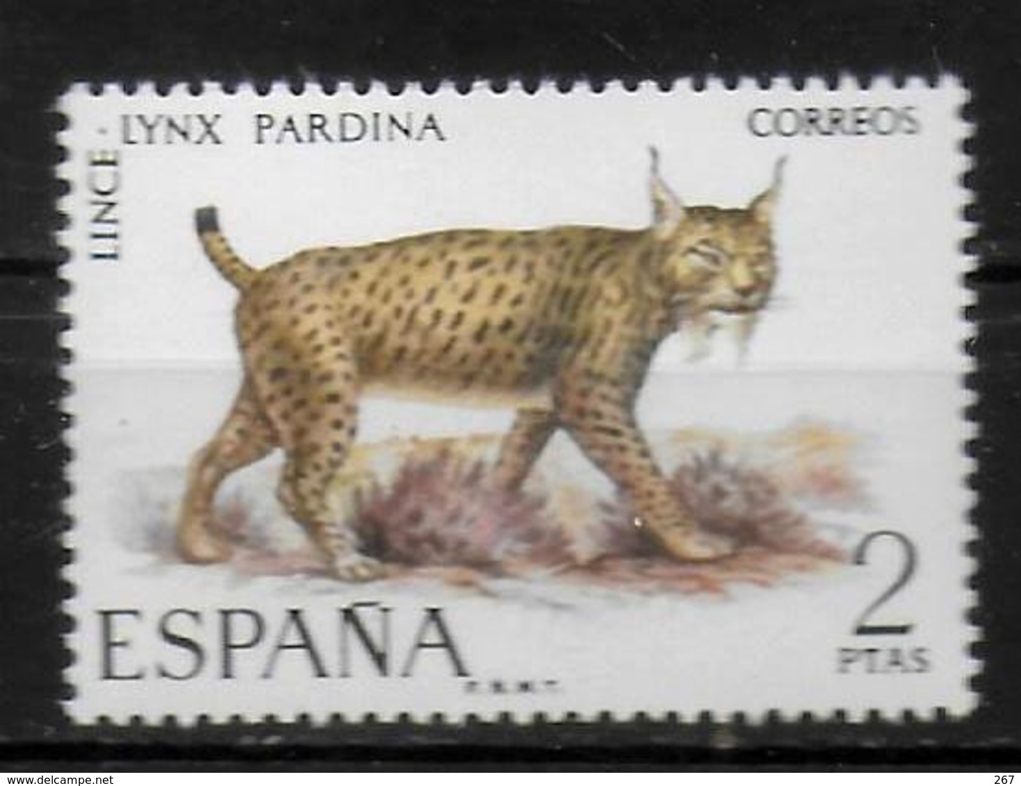 ESPAGNE   N° 1692  * *  Lynx - Roofkatten