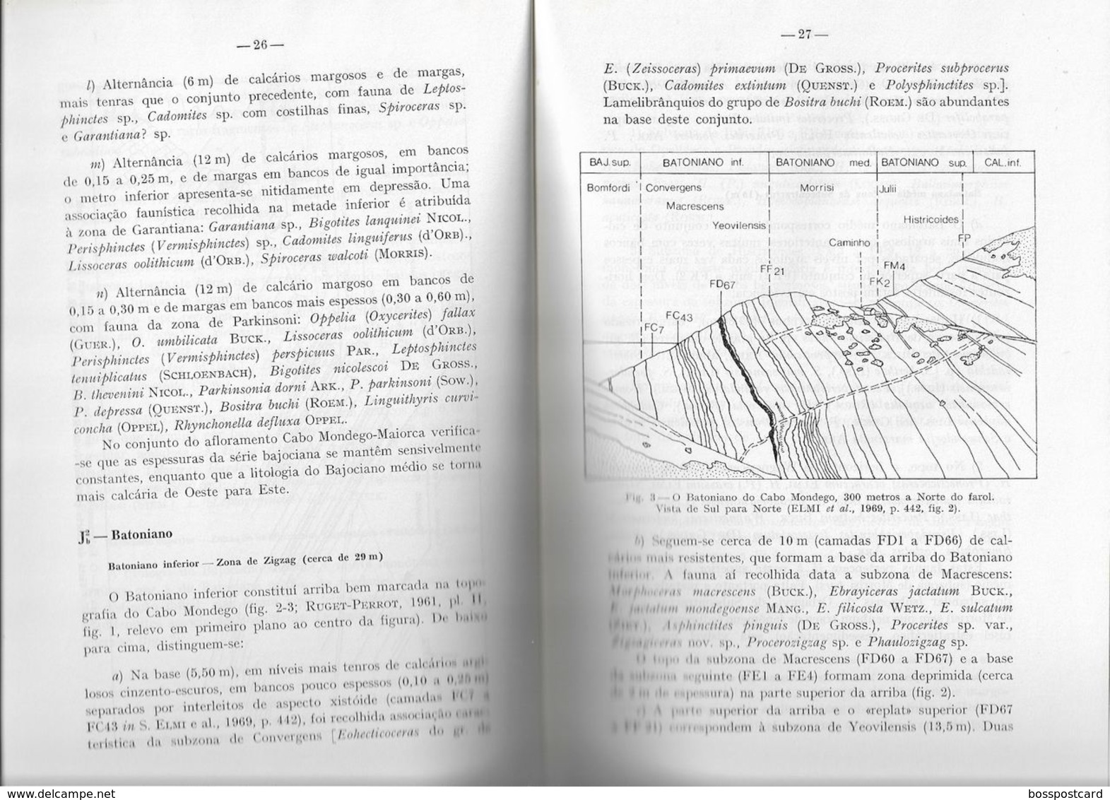 Figueira Da Foz - Carta Geológica De Portugal + Mapa. Coimbra. - Cartes Géographiques