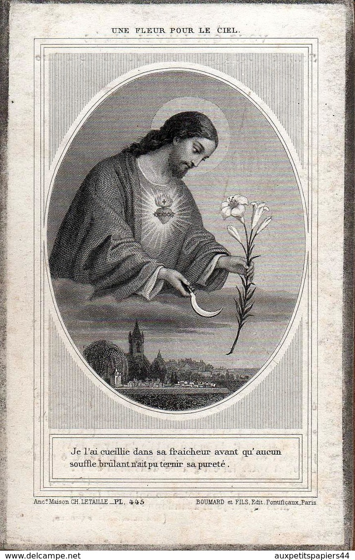 Faire-Part De Décès & Photo Marie-Ernestine-Louise Delaporte Née à St Hilaire De Harcouët 07.05.1878 Décédée En 1897 - Overlijden