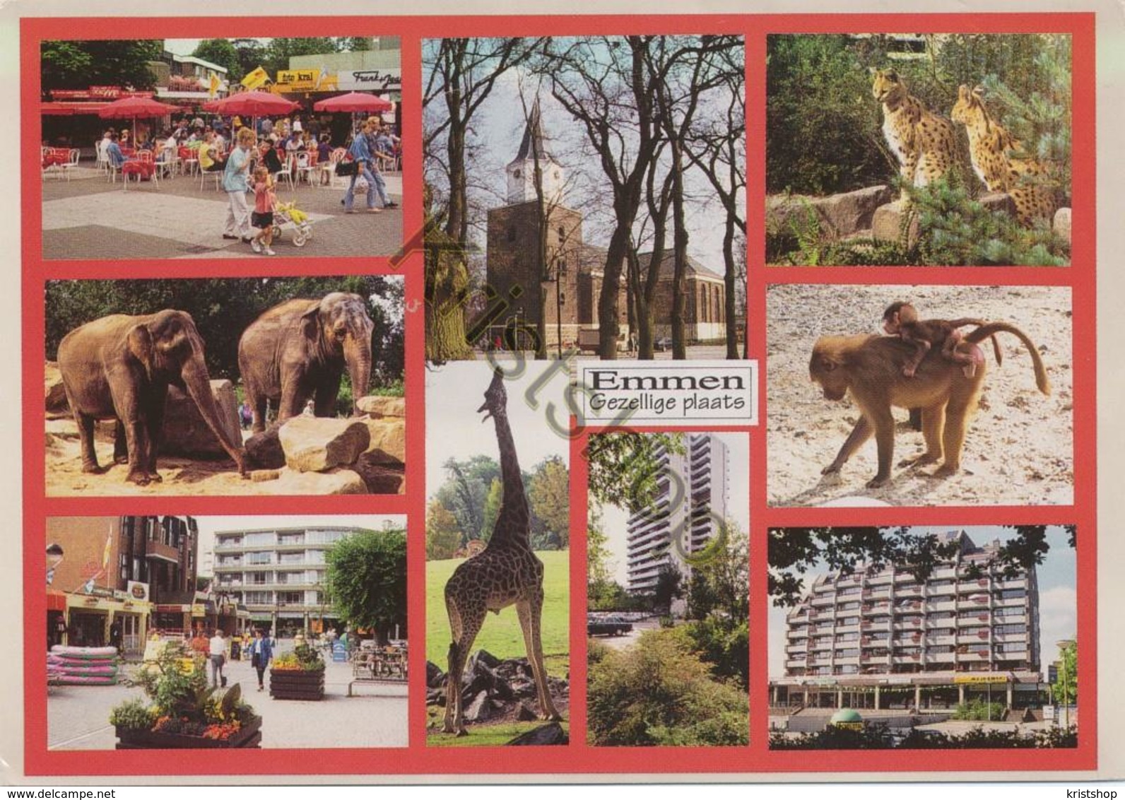 Emmen - (ZOO)   (- Gelopen Met Postzegel) - [AA44-2.327 - Other & Unclassified