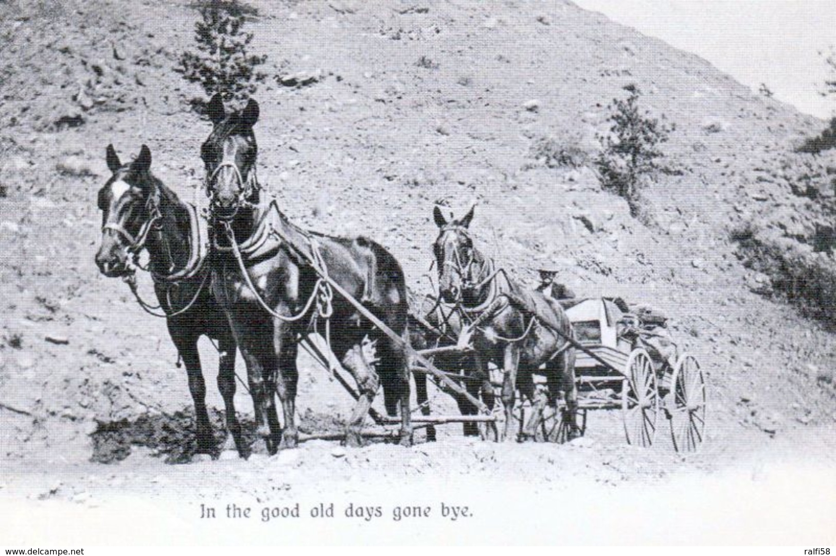 1 AK Kanada * Sunday Excursion On Hillside Near Penticton - Nachdruck Einer Karte Von 1901 - Reprint - Siehe Rückseite * - Penticton