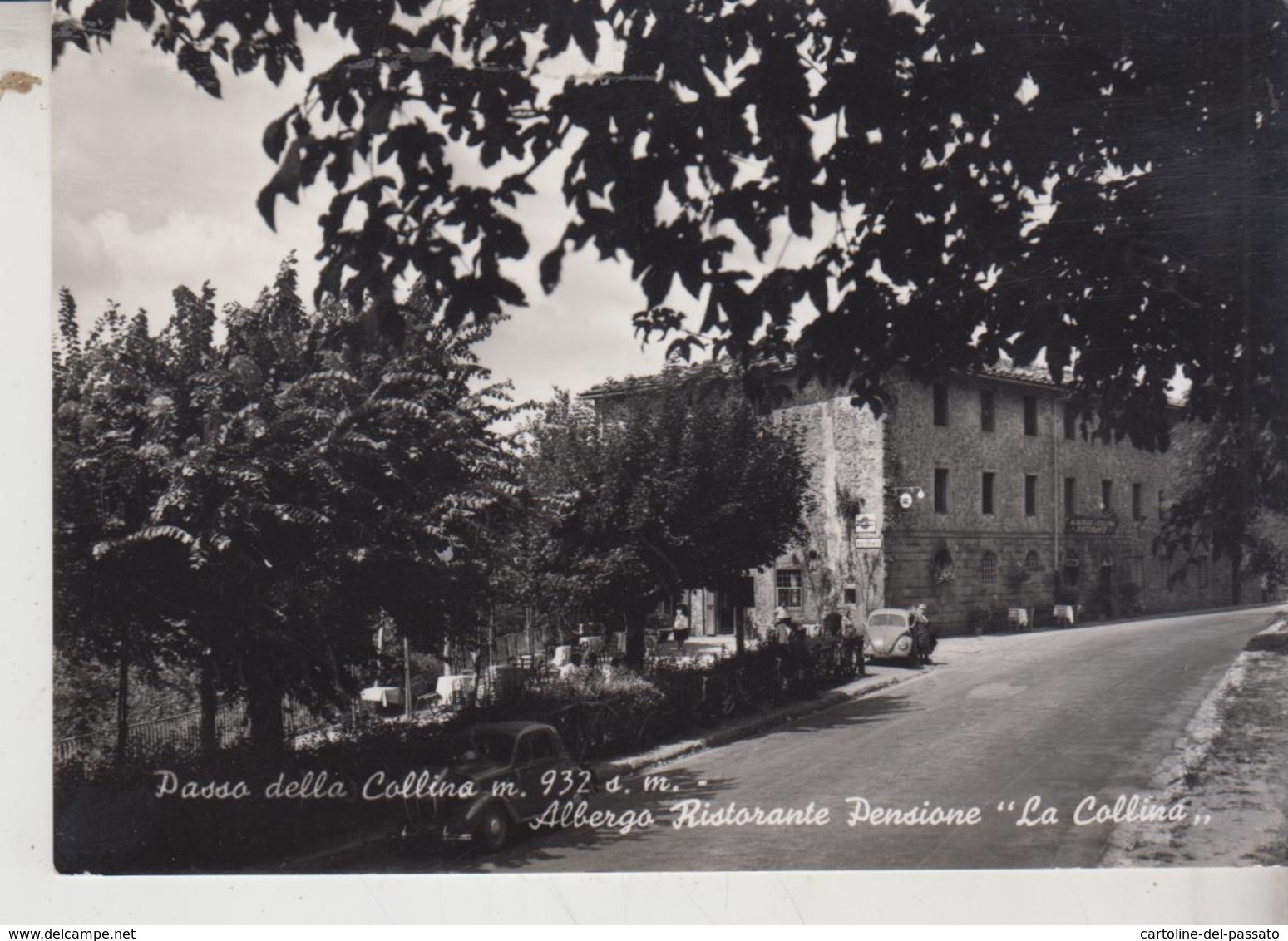 PISTOIA  PASSO DELLA COLLINA ALBERGO PENSIONE LA COLLINA - Pistoia