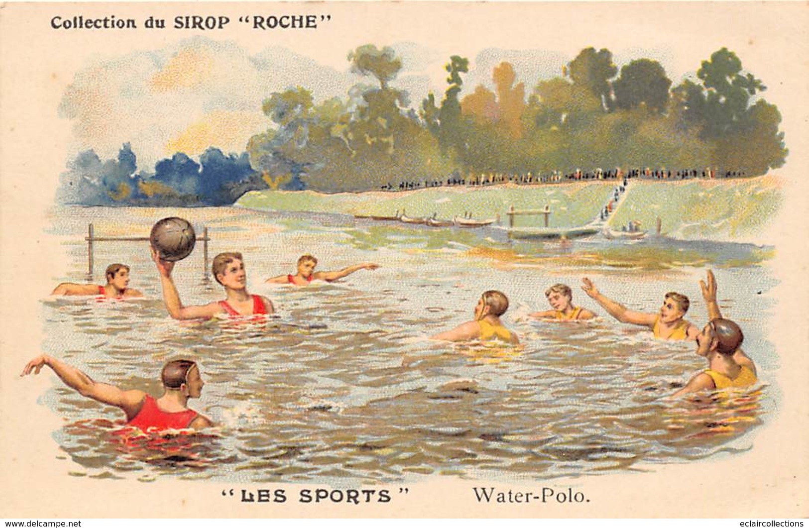 Sport. Autre.   Water Polo. Publicité Sirop Roche     (voir Scan) - Andere & Zonder Classificatie