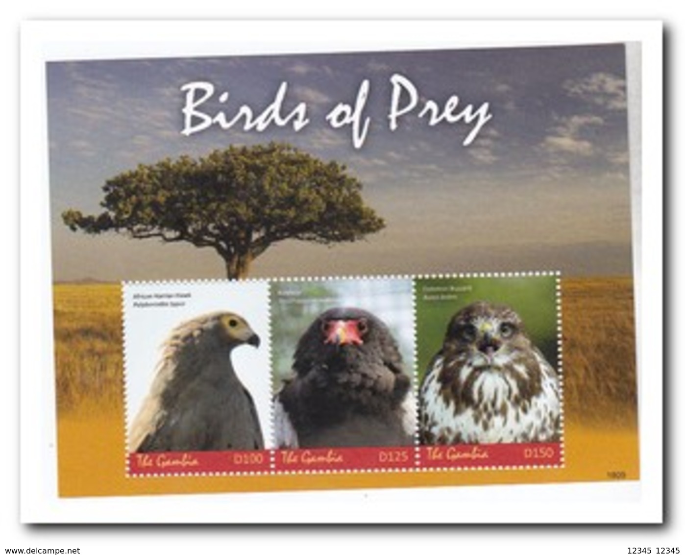 Gambia 2018, Postfris MNH, Birds Of Prey - Gambia (1965-...)