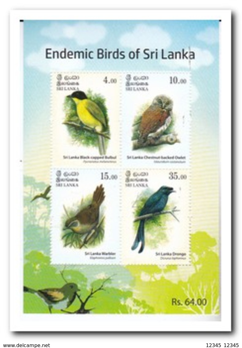 Sri Lanka 2018, Postfris MNH, Birds - Sri Lanka (Ceylon) (1948-...)