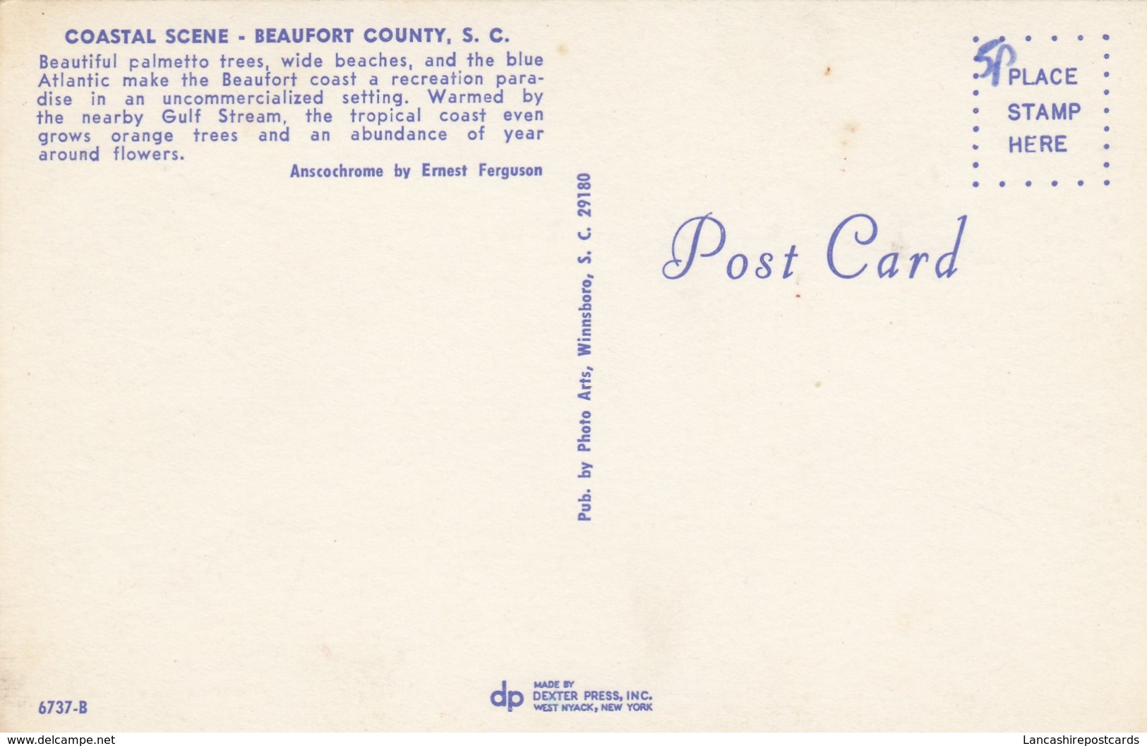 Postcard Coastal Scene Beaufort County Palmetto Trees My Ref  B13475 - Beaufort
