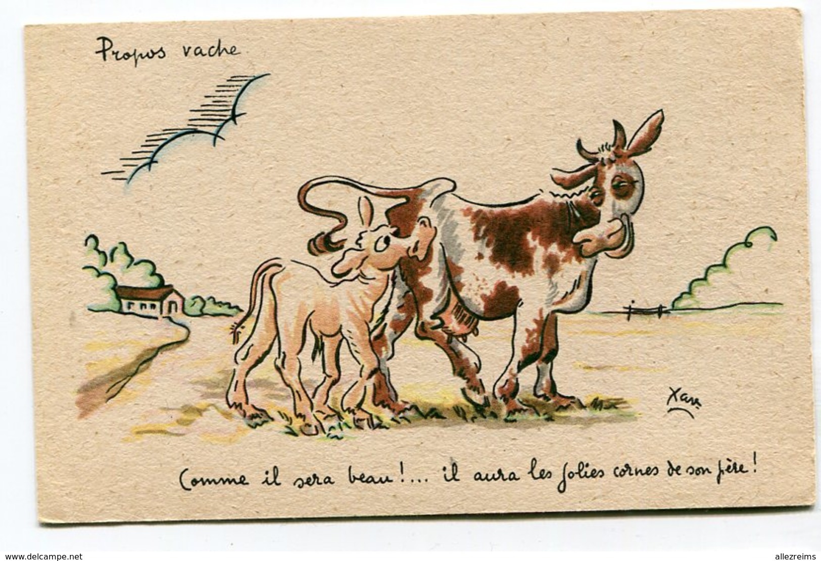 CPA  Illustrateur :   XAV  Vaches Les Cornes  A  VOIR  !!!!!! - Autres & Non Classés