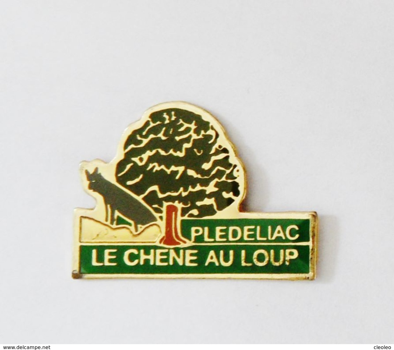 Pin's Plédéliac Le Chêne Au Loup -  BRETAGNE - Villes