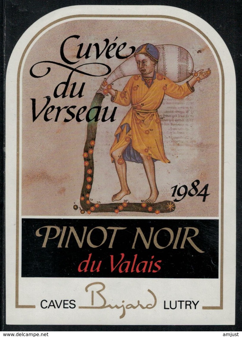 Etiquette De Vin // Pinot Noir Du Valais, Signe Du Zodiac "Le Verseau" - Otros & Sin Clasificación