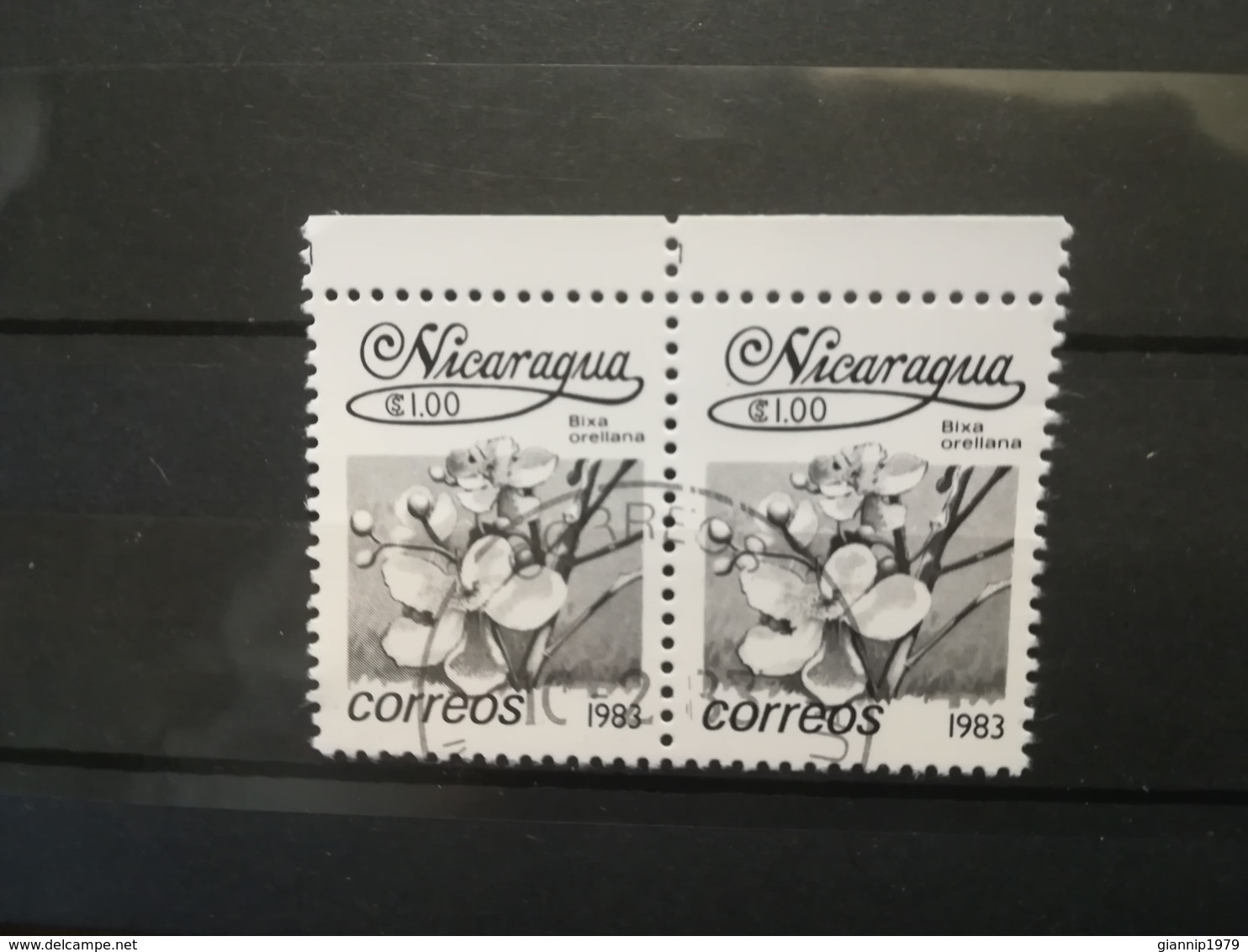 FRANCOBOLLI STAMPS NICARAGUA 1983 USED SERIE FIORI FLOWERS COPPIA DA FOGLIO - Nicaragua