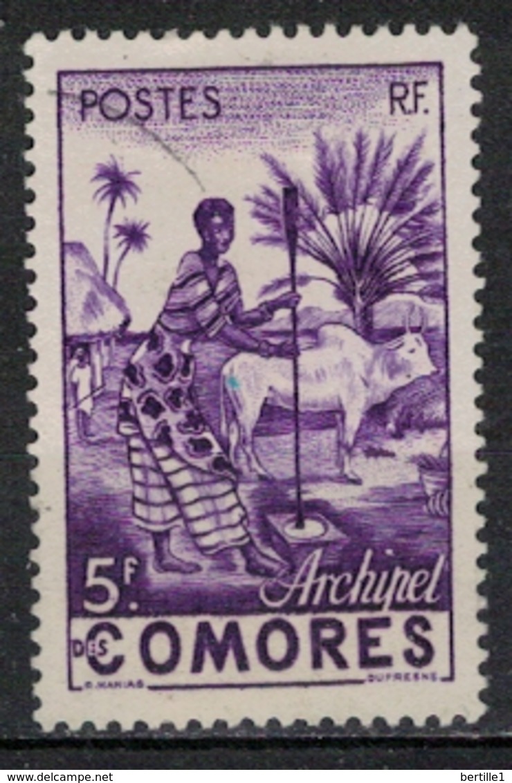 COMORES            N°     YVERT   5  OBLITERE       ( Ob  3/47 ) - Used Stamps