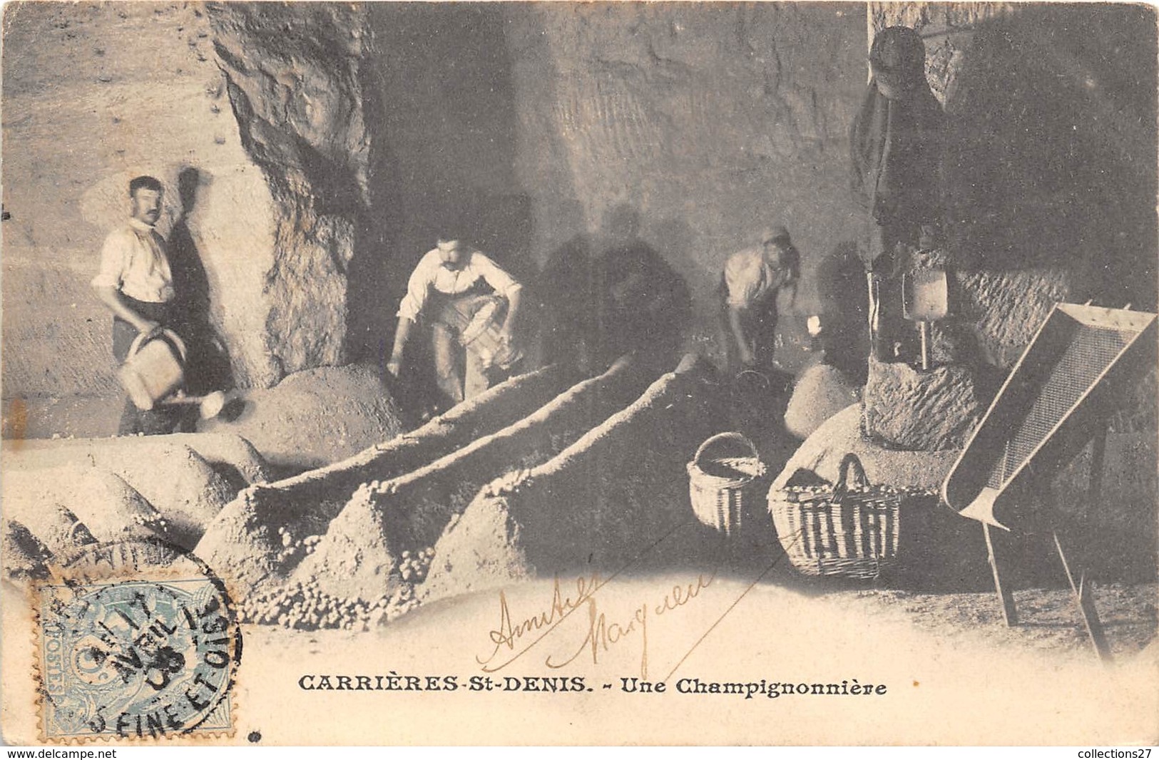 78-CARRIERES-SAINT-DENIS- CHAMPIGNONNIERE - Carrières-sur-Seine