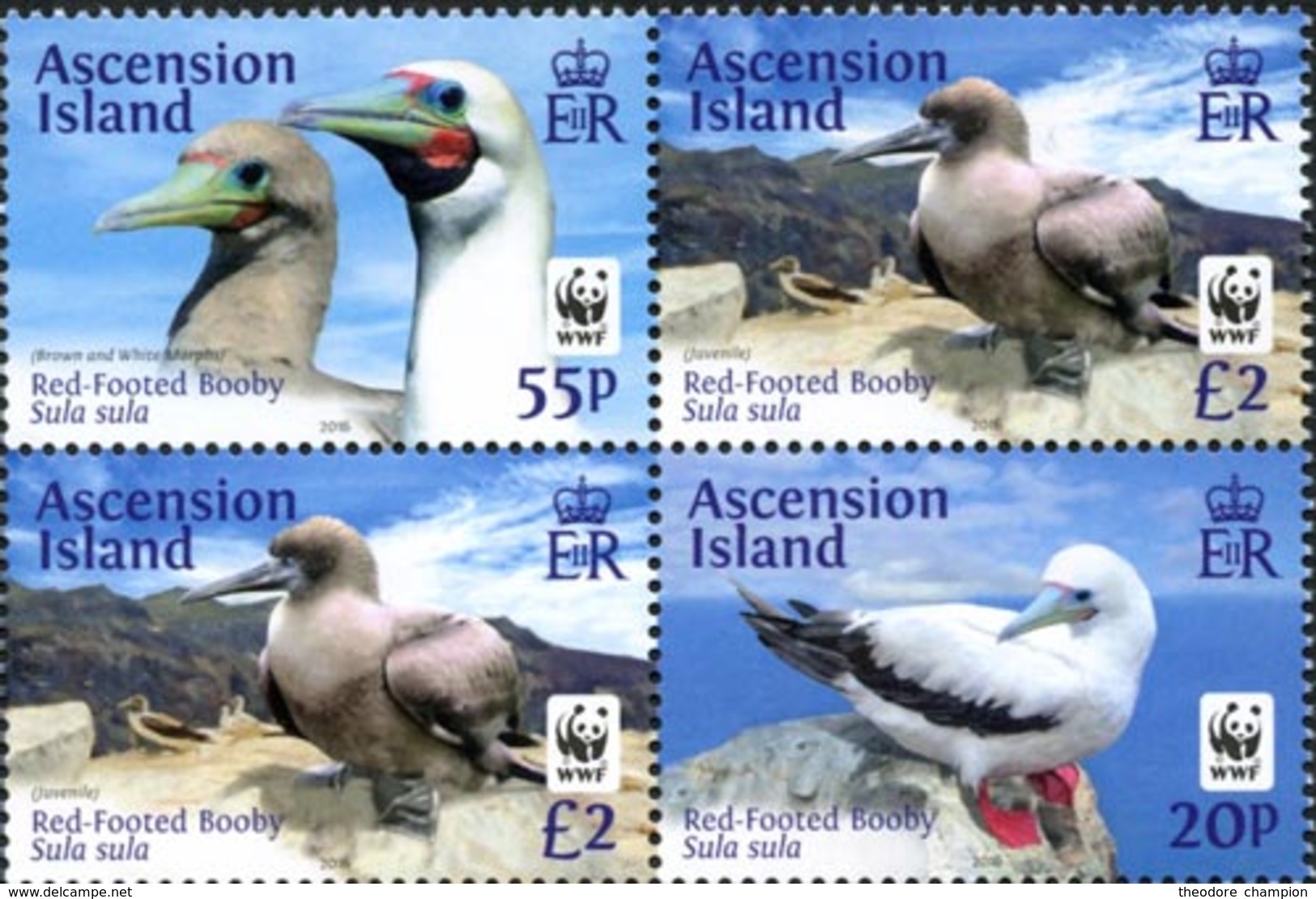 ASCENSION WWF - Oiseau-Fou à Pieds Rouge 4v 2015 Neuf ** MNH - Ascension (Ile De L')