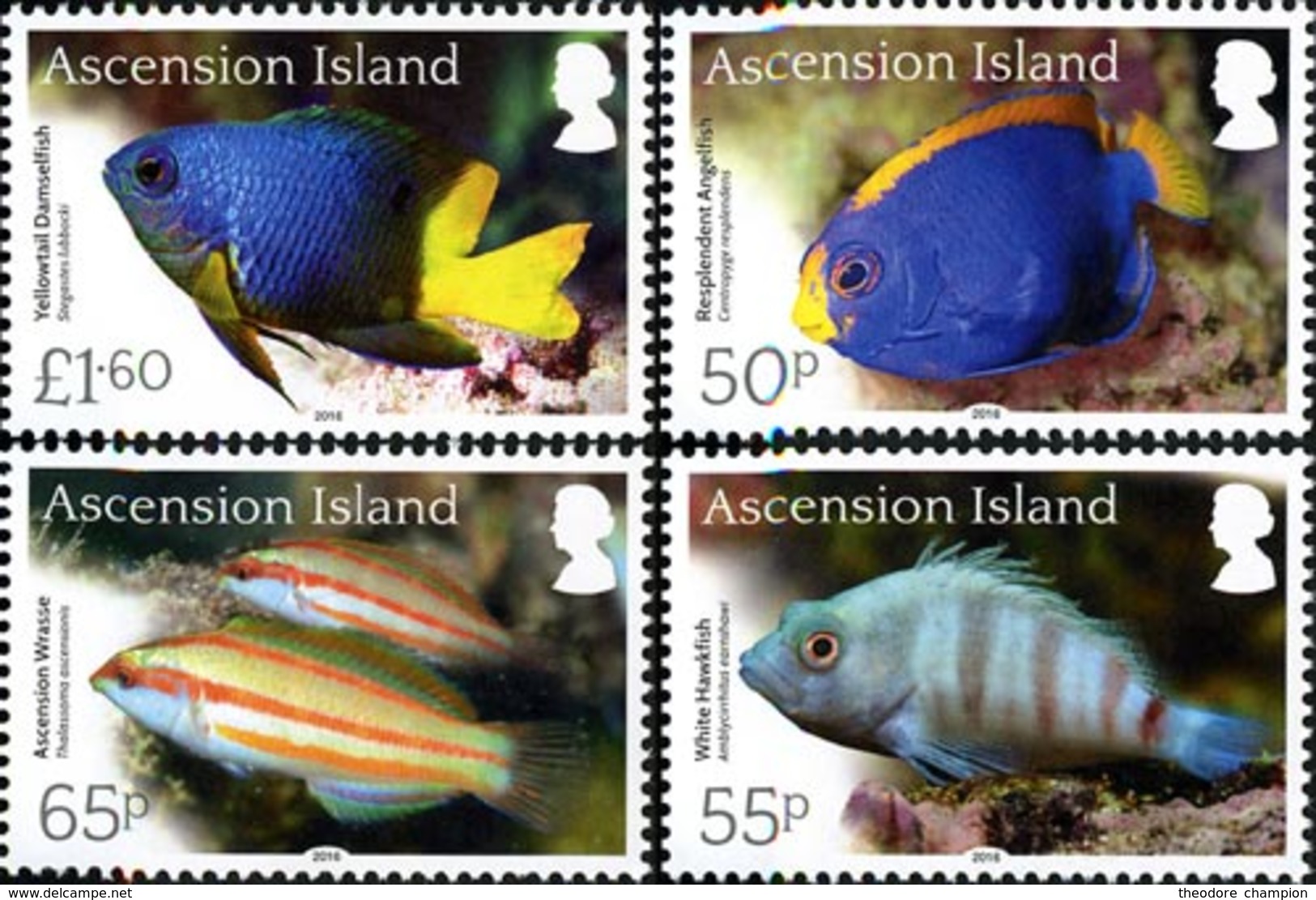 ASCENSION Poissons 2016 4v  Neuf ** MNH - Ascension (Ile De L')