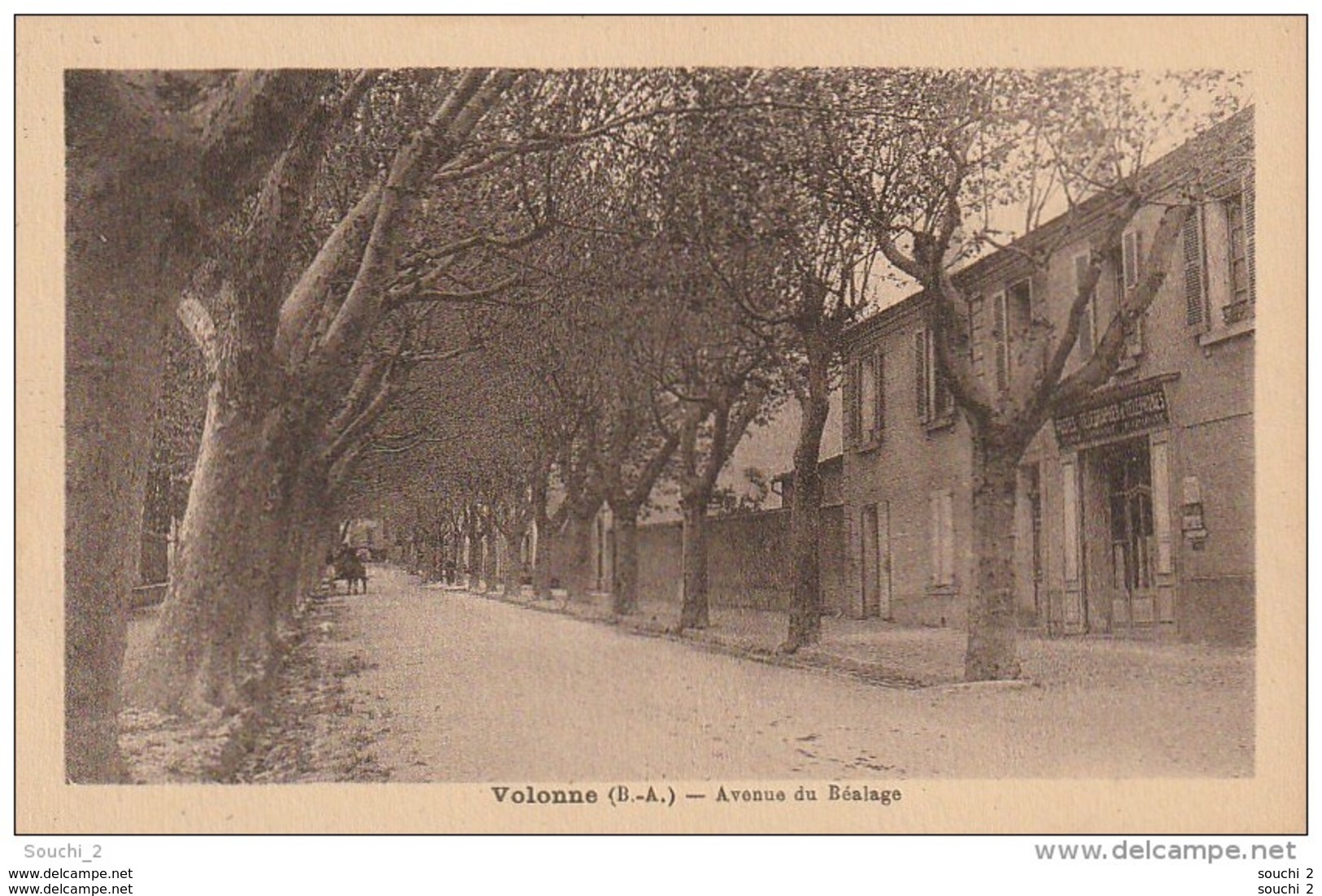 AL7 - VOLONNE - AVENUE DU BEALAGE -  POSTES  TELEGRAPHES   TELEPHONES  -  2 SCANS . - Autres & Non Classés