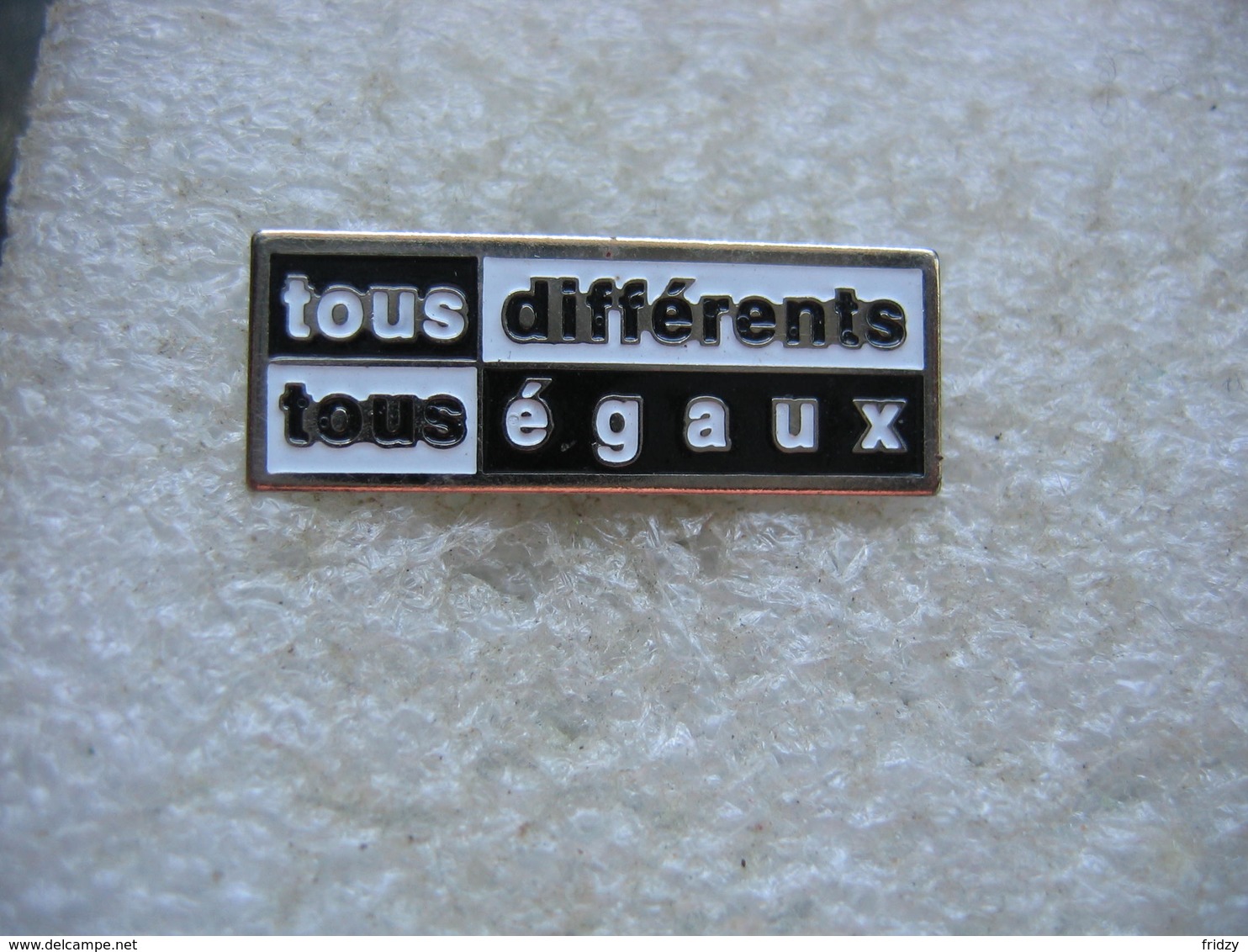 Pin's Tous Différents, Tous égaux - Autres & Non Classés