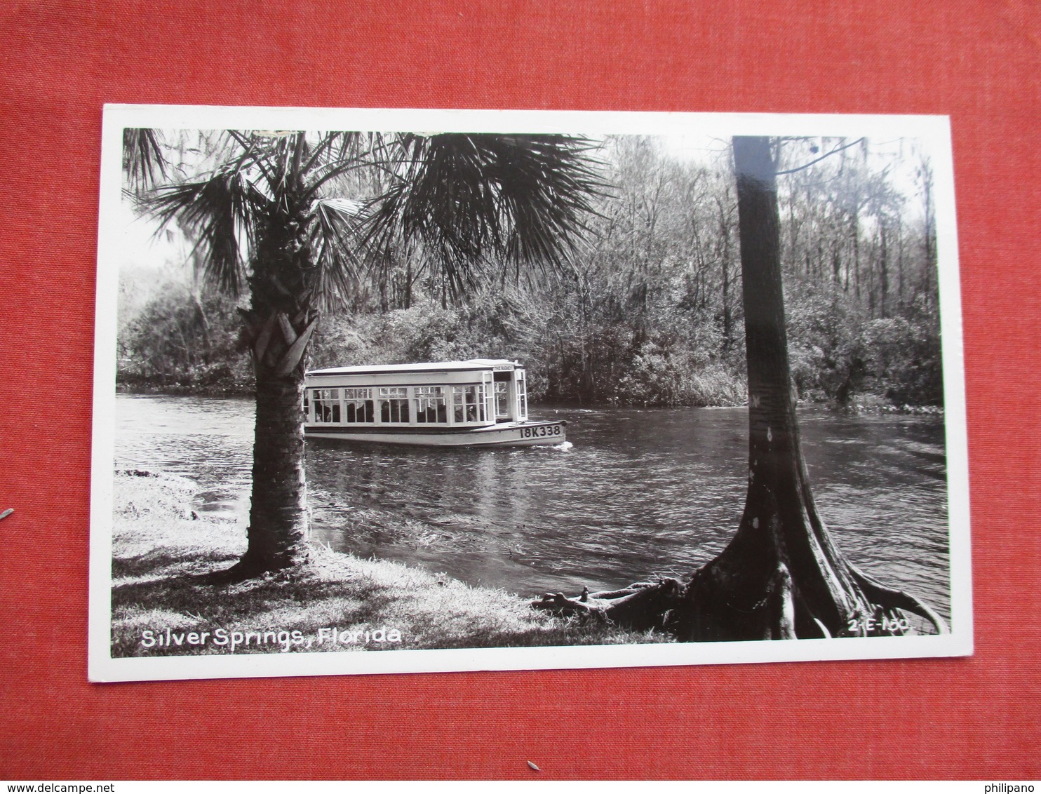 RPPC > > Silver Springs    Florida    Ref 3521 - Silver Springs