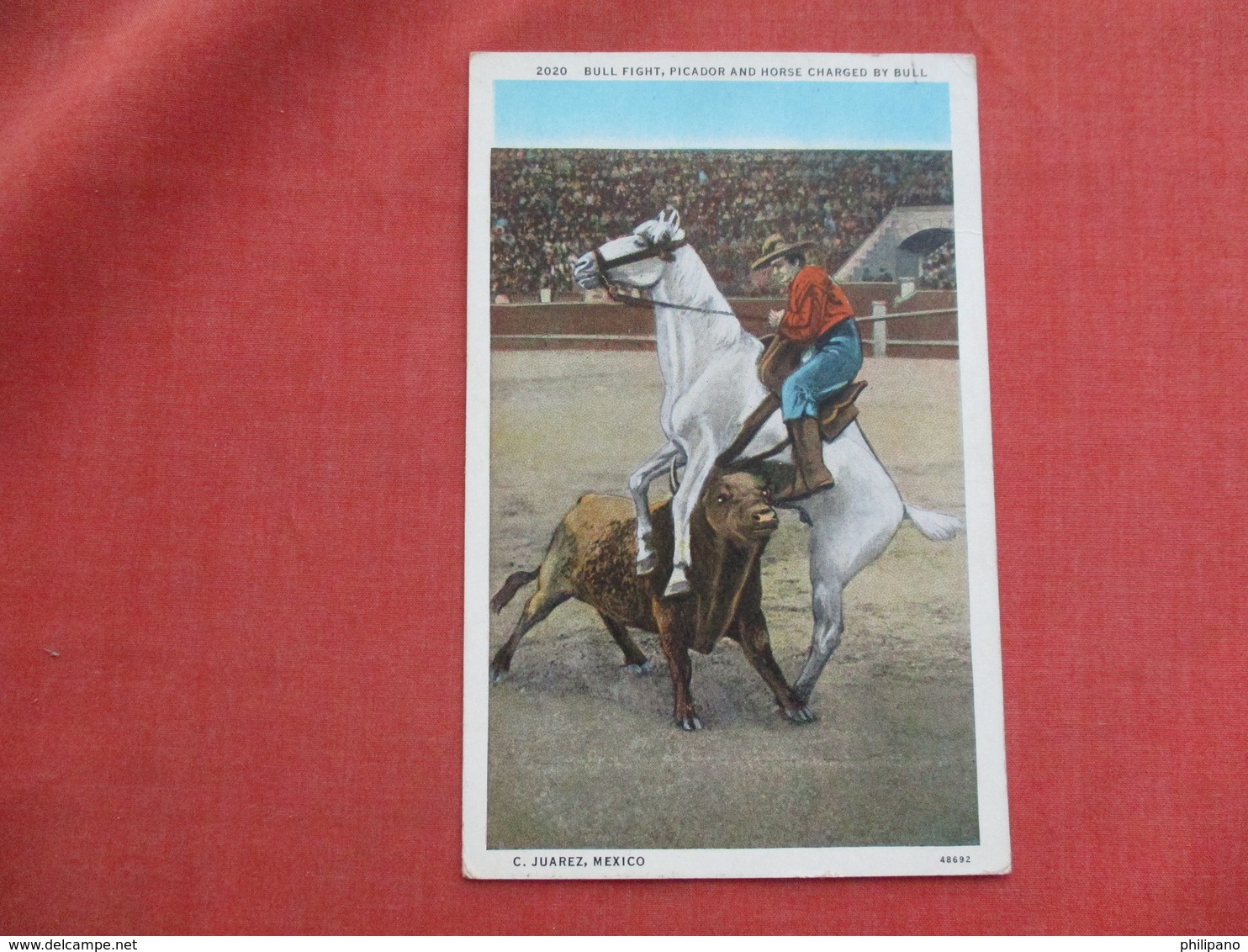 Bull Fight Picador & Horse Charged By Bull Juarez Mexico          Ref 3521 - Corrida