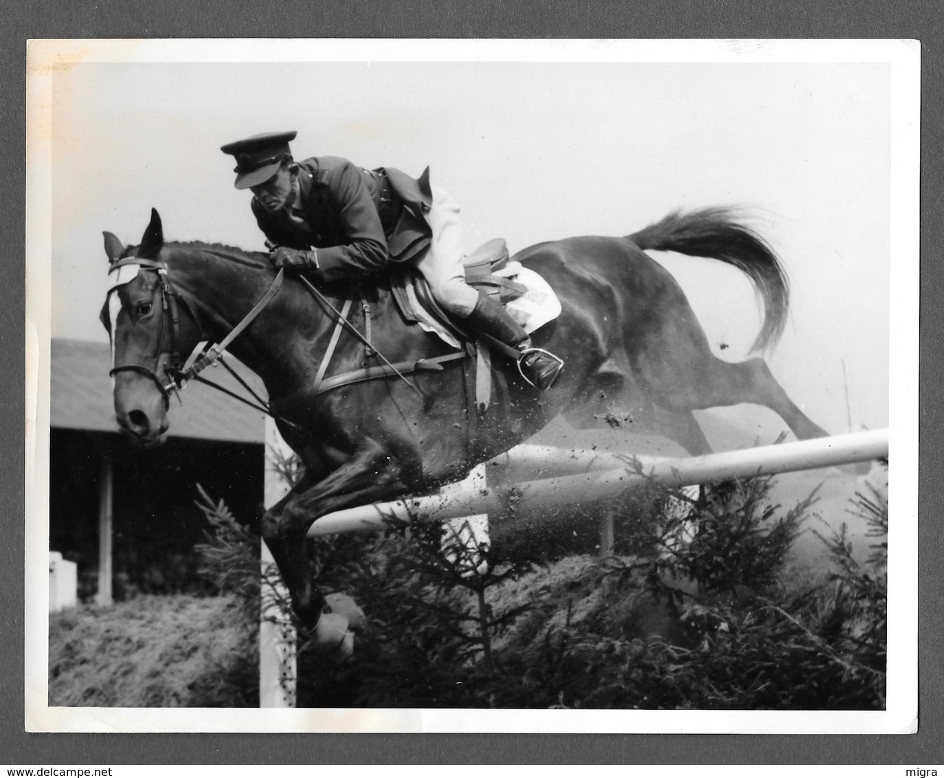 Photo - CHEVAL CHEVAUX HIPPISME - HORSE - CAVALLO -  Captain Kevin Barry - Sport