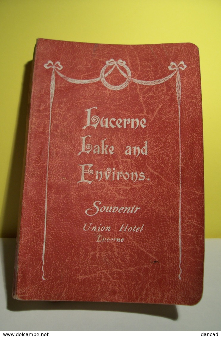 LUCERNE   - LUZERNE - LAKE AND  ENVIRONS  -  SOUVENIR  -1909  - - Kultur