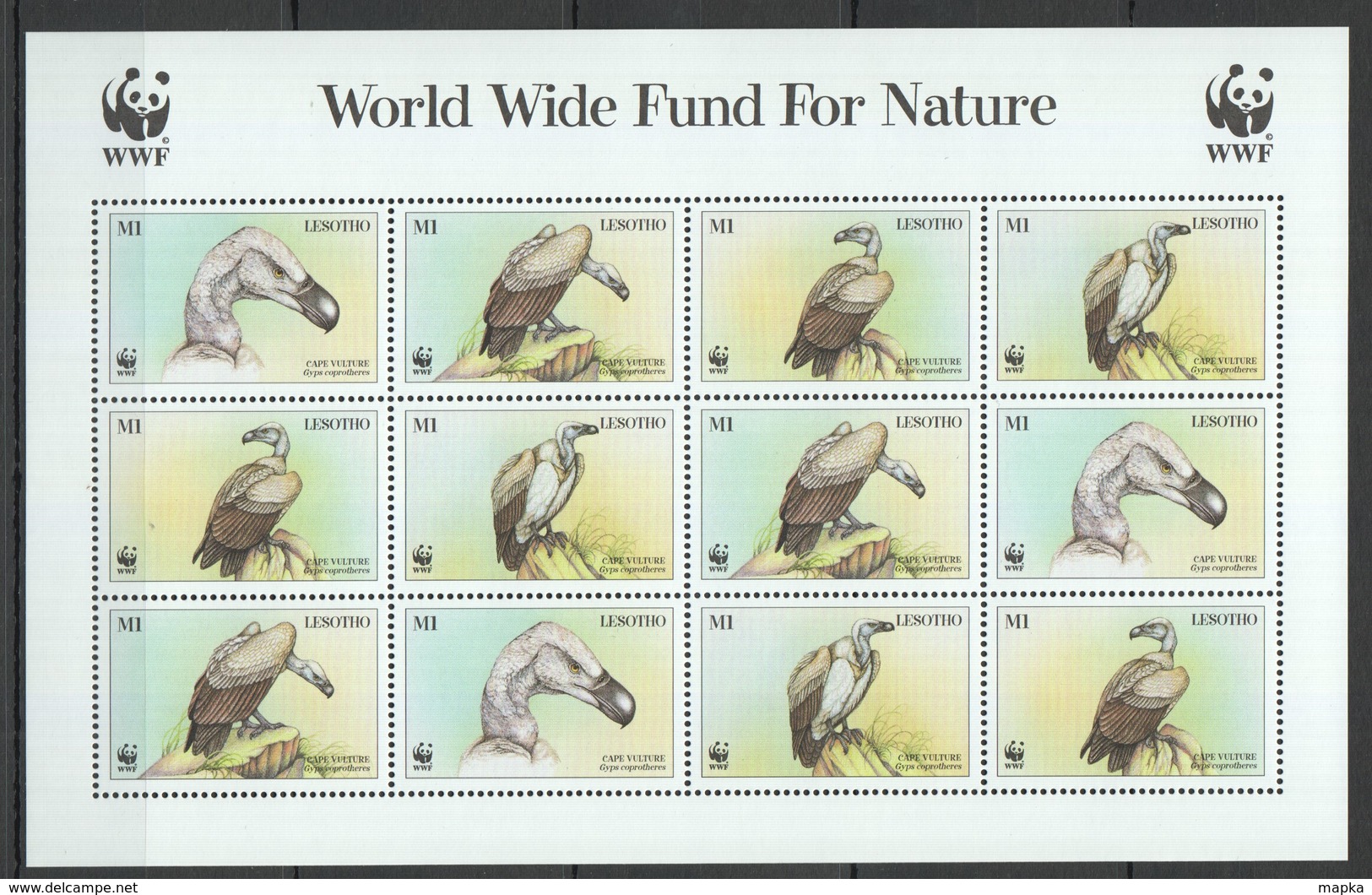 S971 LESOTHO WWF FAUNA BIRDS CAPE VULTURE 1SH MNH - Altri & Non Classificati