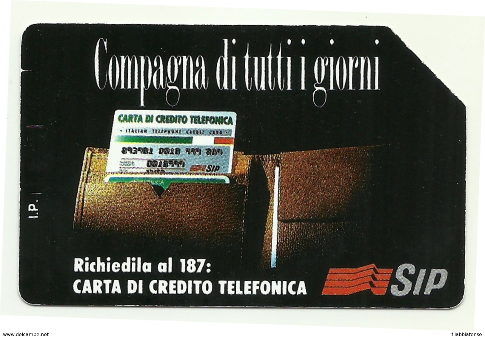 Italia - Tessera Telefonica Da 5.000 Lire N. 221 - 31/12/95 Compagna Di Tutti I Giorni - Pubbliche Ordinarie