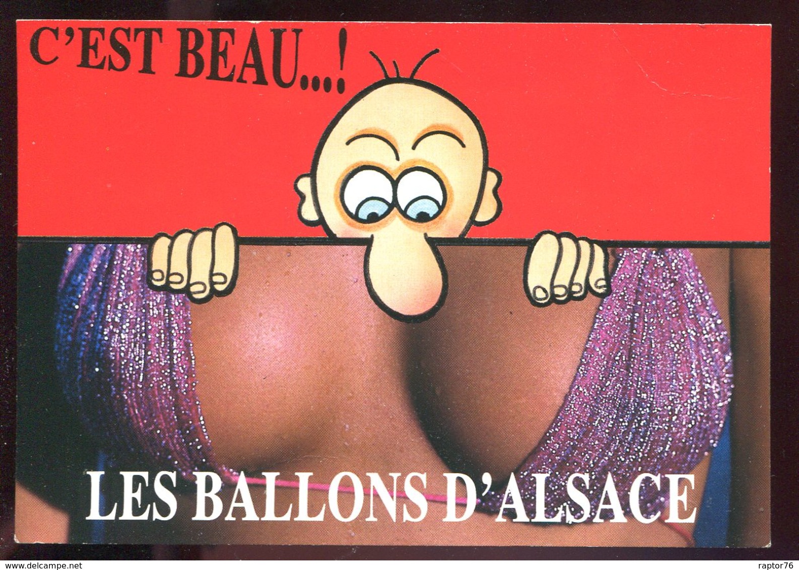 CPM 88 Souvenir Des Vosges  C'est Beau Les Ballons D'Alsace - Lorraine