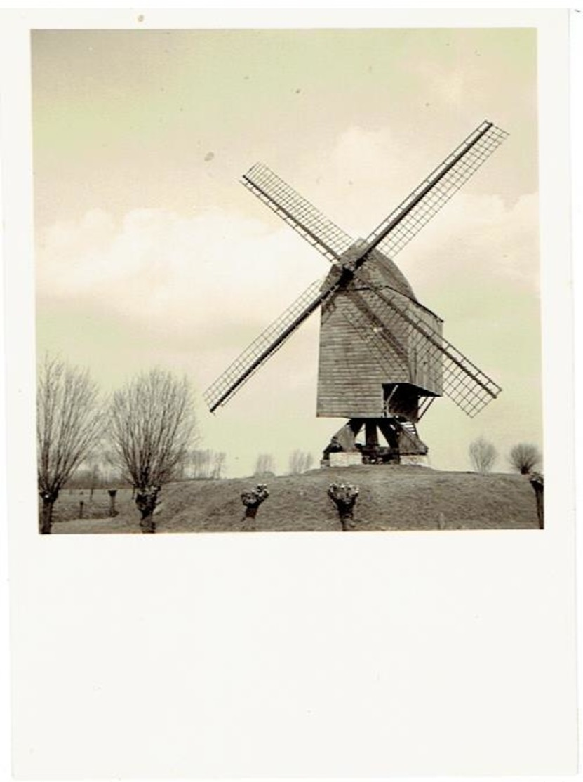 BRAFFE - Peruwelz - Hainaut - Kleine Foto - 8,5 X6 Cm - Molen +/- 1956 - Péruwelz