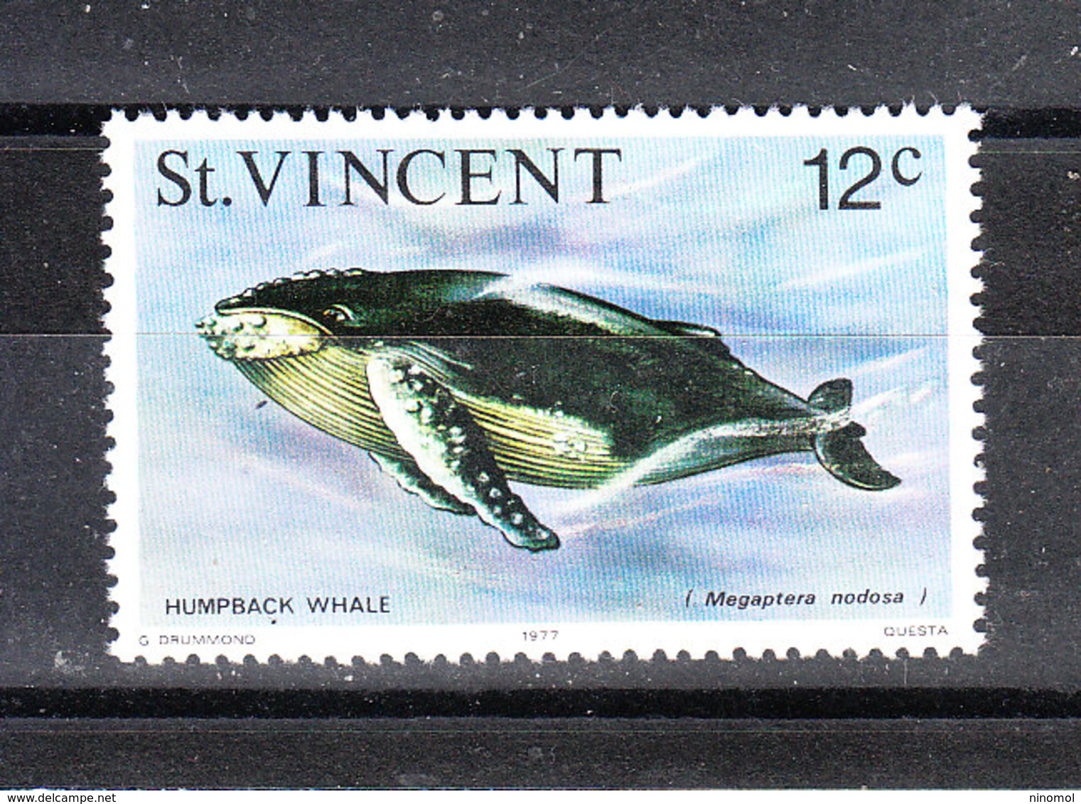 St. Vincent   - 1977. Balena. Millesimo 1977. Whale. Millesimo 1977. MNH - Ballenas