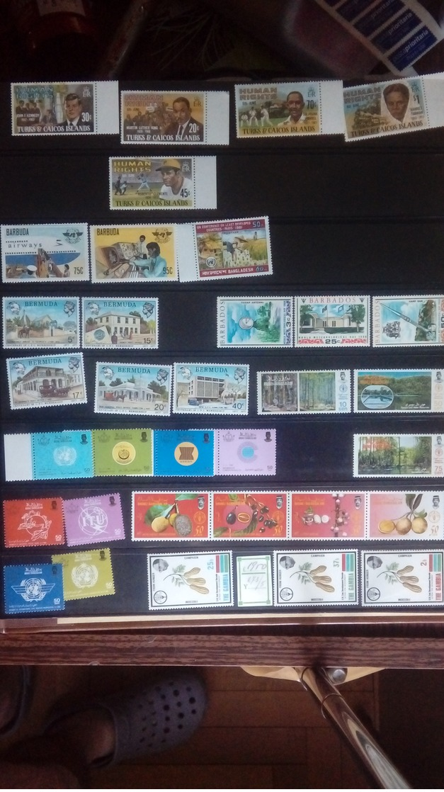 Francobolli 50 Anniversario FAO Ecc (15) - Collections (en Albums)