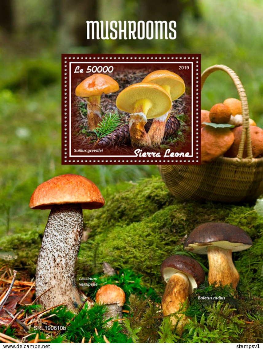 Sierra Leone. 2019 Mushrooms. (0610b)   OFFICIAL ISSUE - Funghi