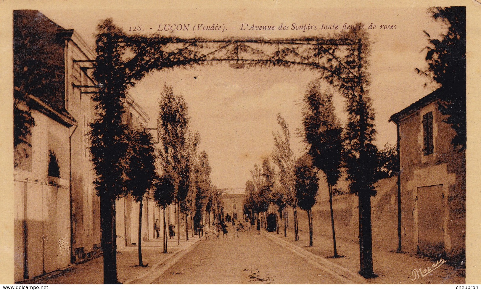 85. LUCON. CPA SÉPIA VERNIE. L'AVENUE DES SOUPIRS TOUTE FLEURIE DE ROSES + TEXTE. - Lucon