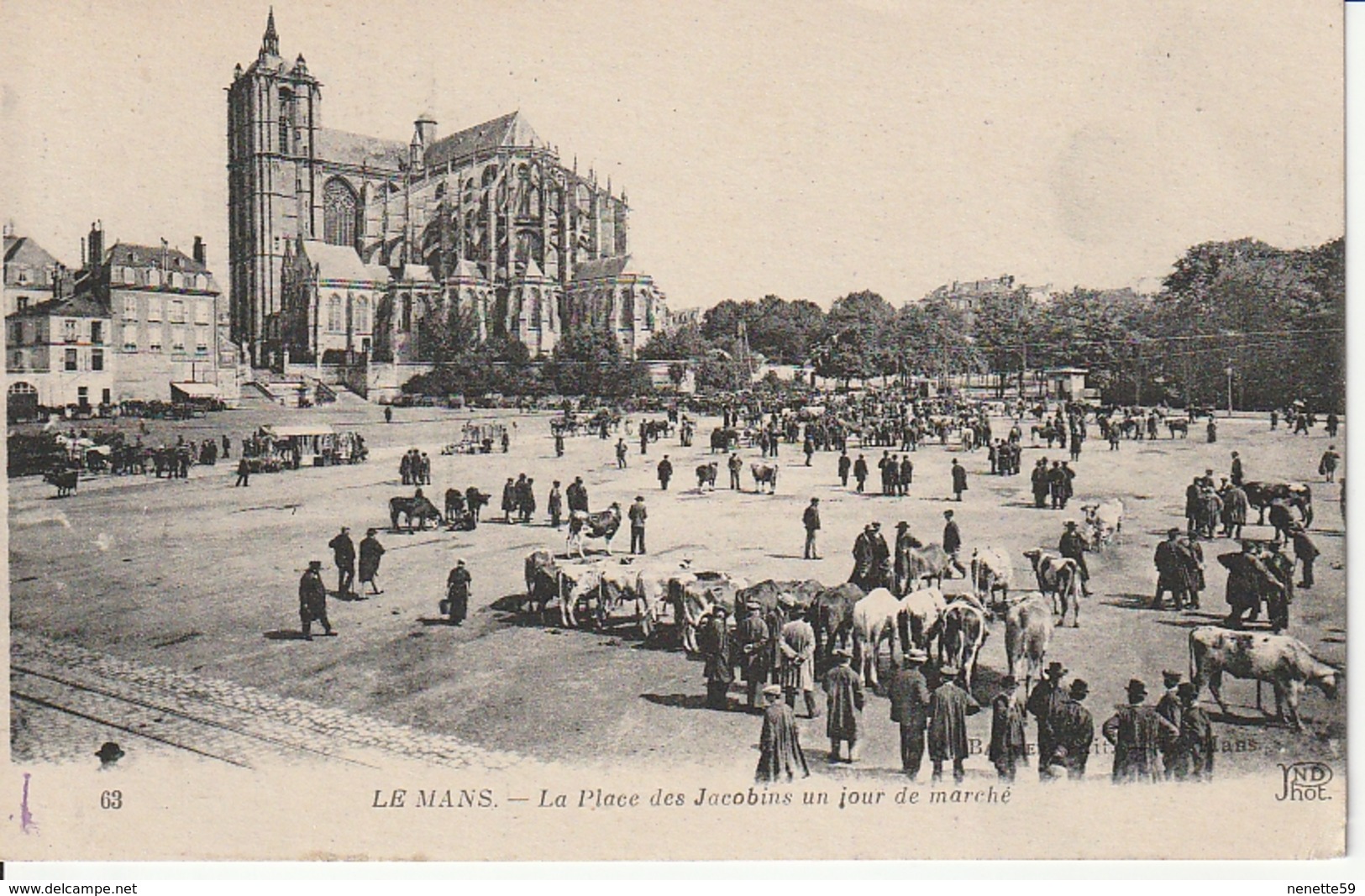 CPA 72 -- LE MANS -- La Place Des Jacobins Un Jour De Marché - Belle Animation - Le Mans