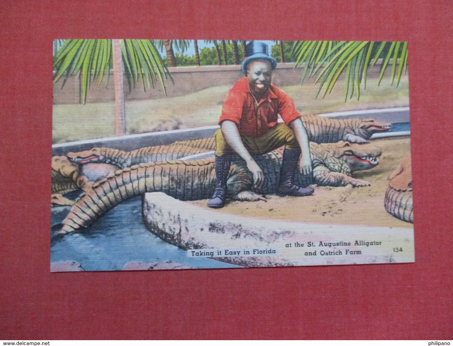 > Black Americana Black Man Sitting On Alligator Taking It Easy St Augustine Florida          Ref 3524 - Black Americana