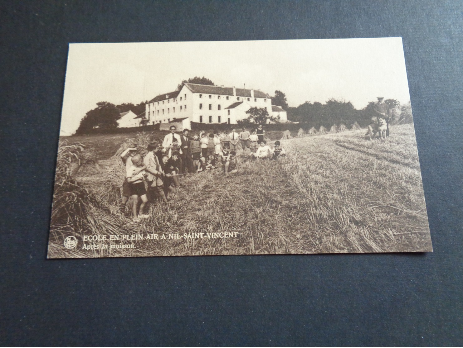 Beau Lot De 20 Cartes Postales De Belgique       Mooi Lot Van 20 Postkaarten Van België   - 20 Scans - 5 - 99 Postcards