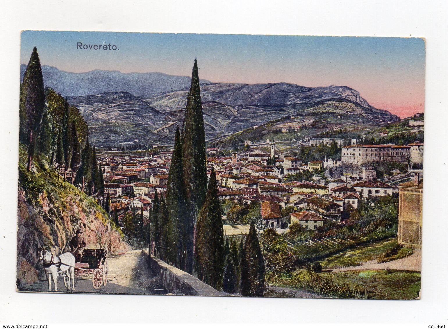 Rovereto (Trento) - Panorama - Carrozza - Non Viaggiata - (FDC16376) - Trento