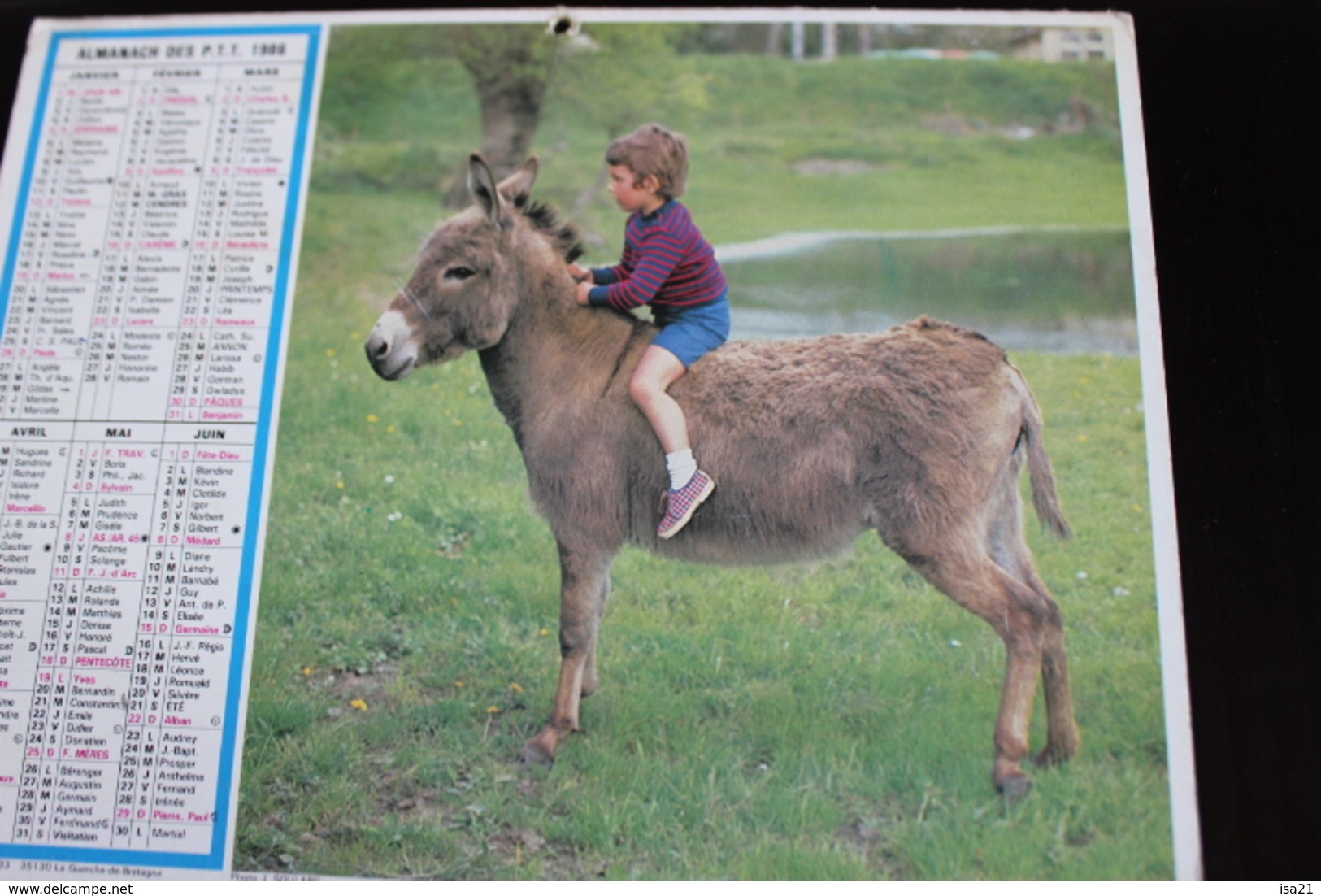 Calendrier Des Postes PTT 1986 Seine-Maritime: Enfant Sur âne, Poules Devant La Porte, 2 Photos - Tamaño Grande : 1981-90