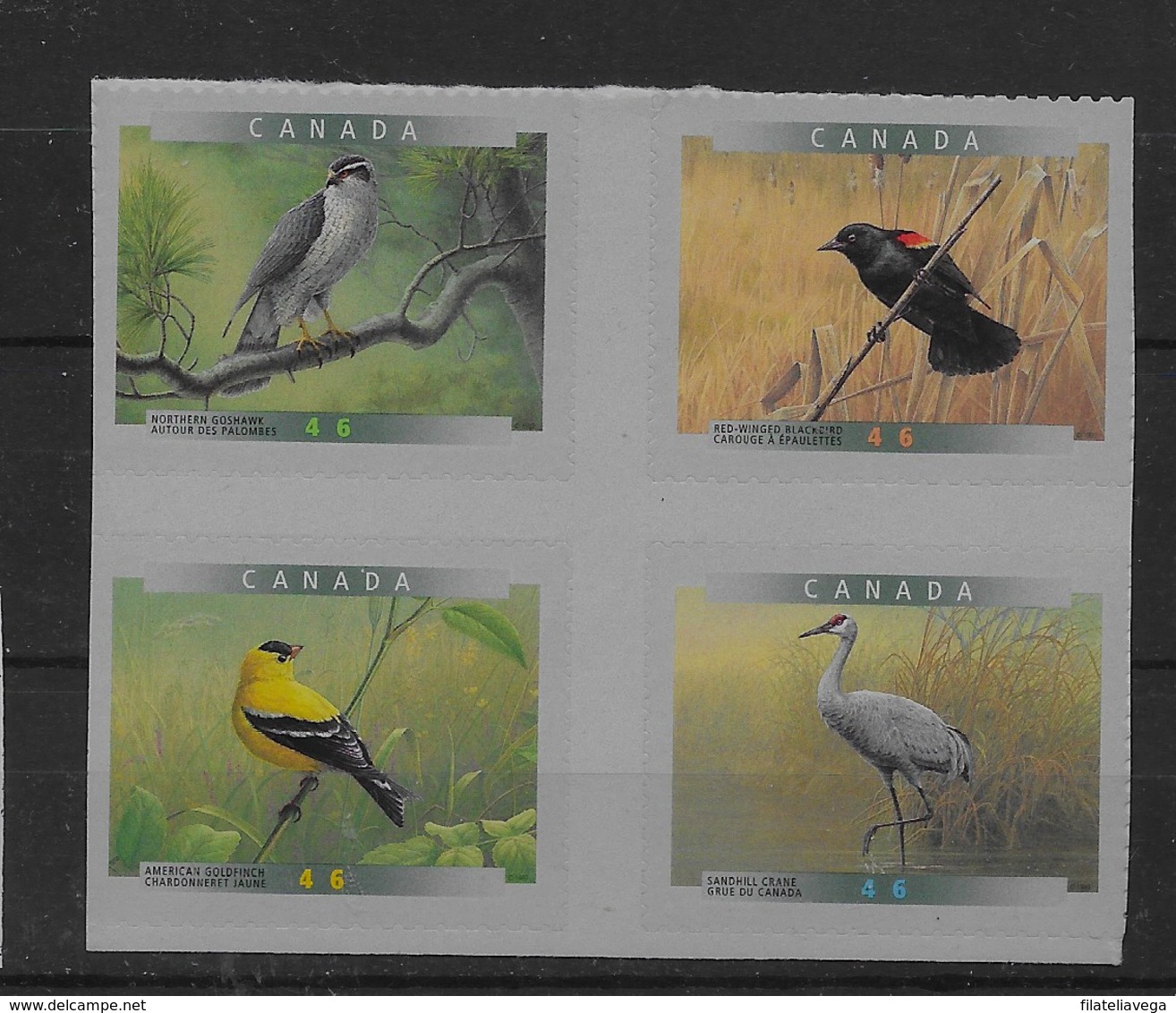 Serie De Canadá Nº Yvert 1637/40 ** AVES (BIRDS) - Nuevos