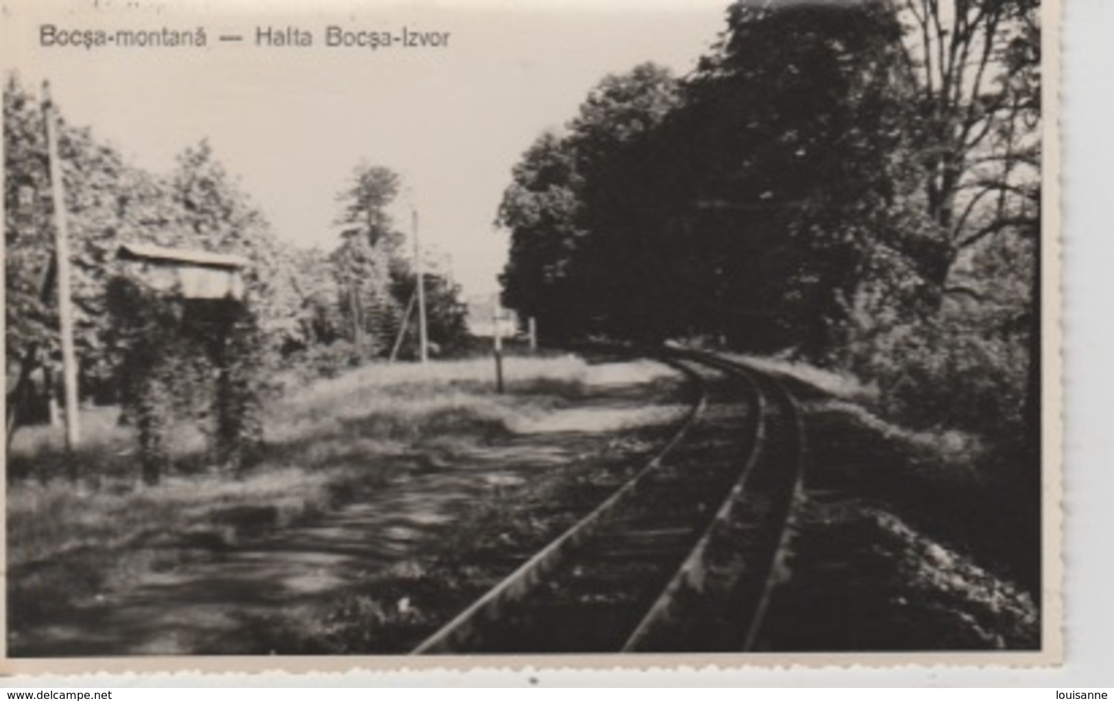 19 / 8 / 50  -   C P S M. PHOTO. -  BOCSA - MONTANÄ - Roumanie