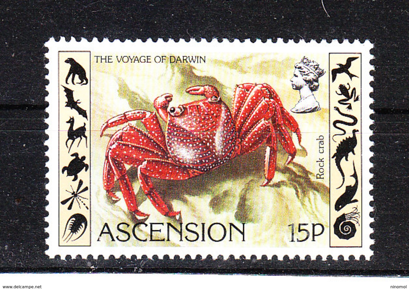 Ascension -  1982. Granchio Rosso. Red Crab. MNH - Crostacei